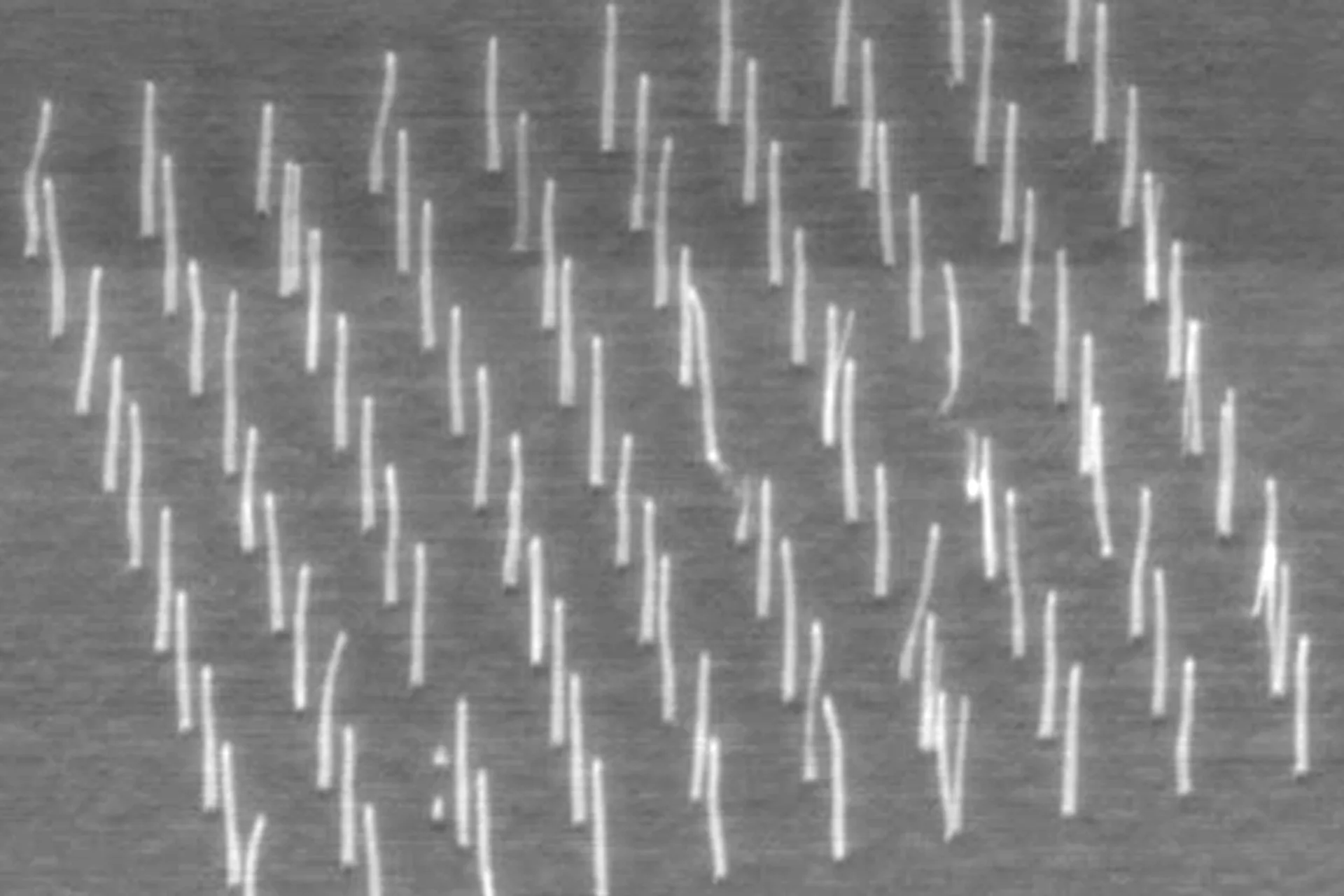 Carbon nanotubes as electrode for supercapacitors
