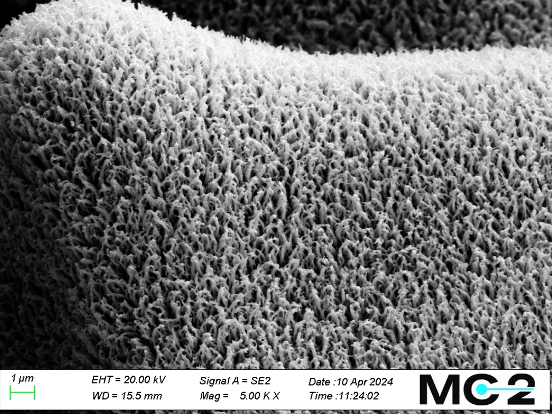 Toward Low Loading and High Utilization Ratio of Iridium Catalyst for PEM Water Electrolyzers Using Smoltek Carbon Nanofibers