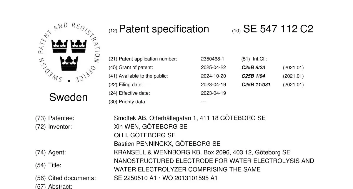 Electrode Conformal Coating